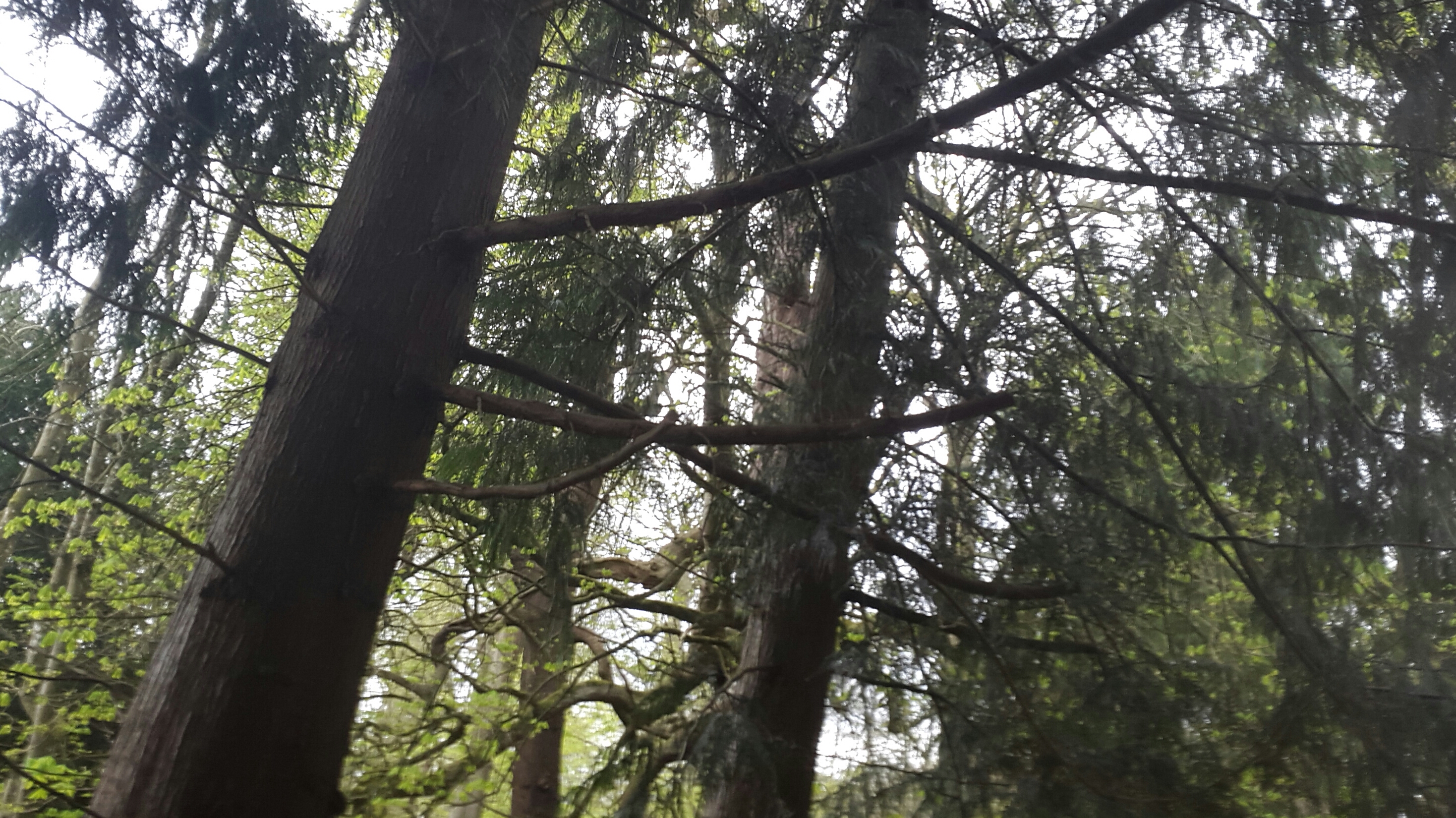 2016-05-01 12.33.01.jpg