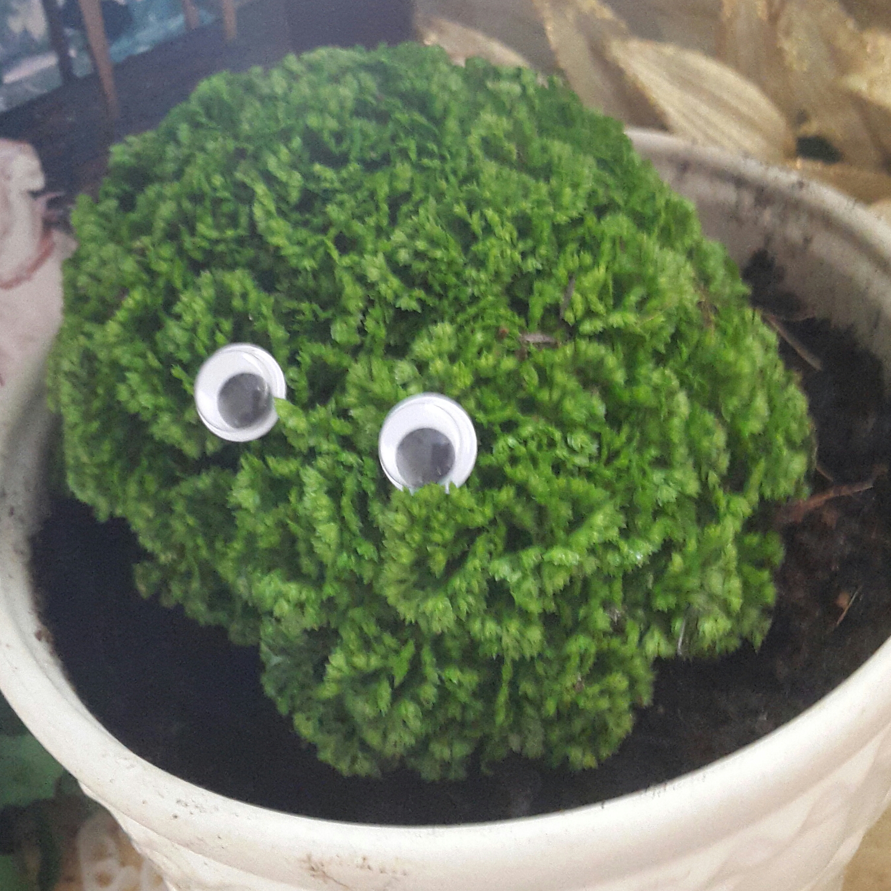 2016-06-11 16.40.39.jpg