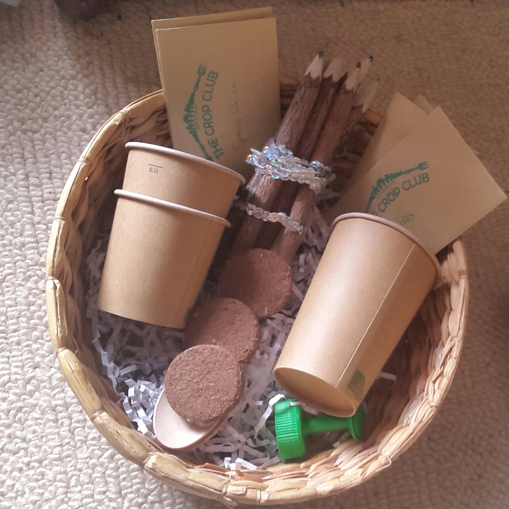 2016-11-27 12.04.02.jpg