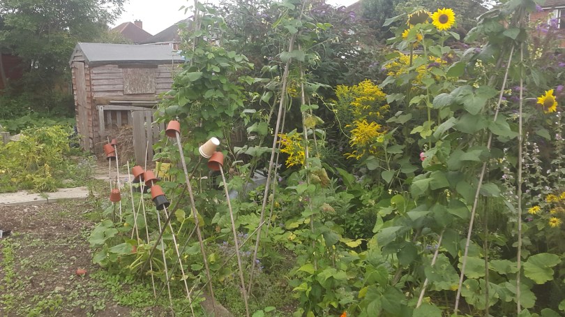 2017-08-14 18.39.14.jpg