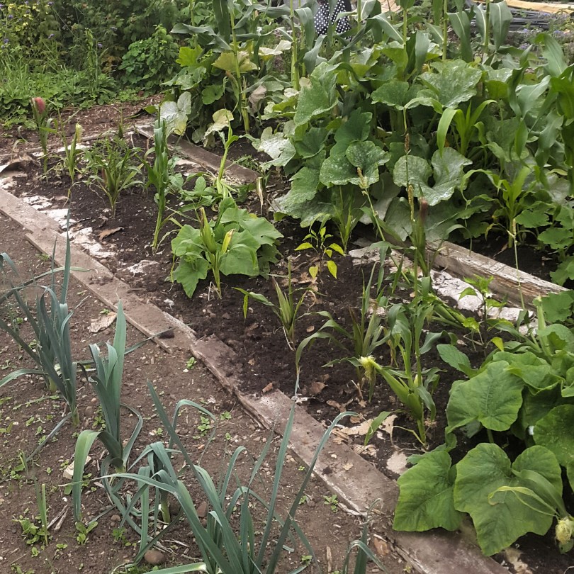 2017-08-14 19.23.35.jpg