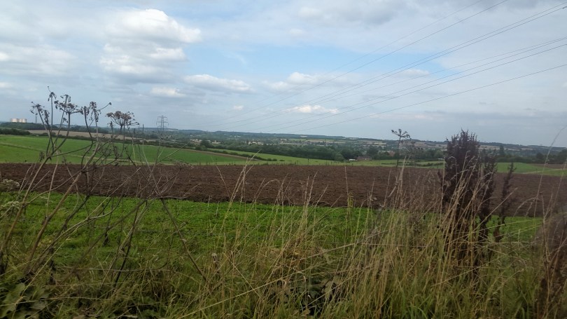 2017-08-15 01.38.27.jpg