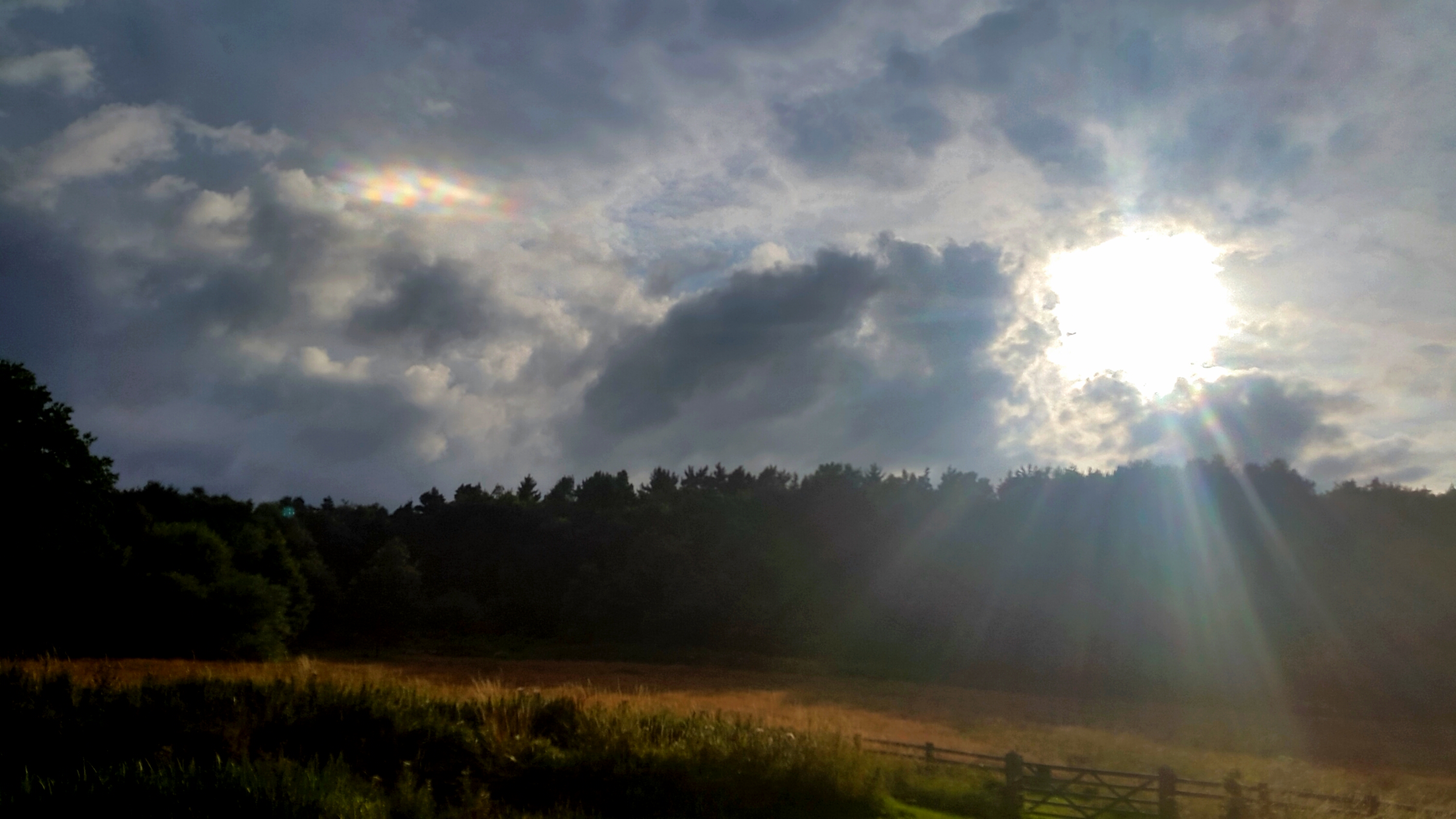 2017-08-16 02.11.17.jpg