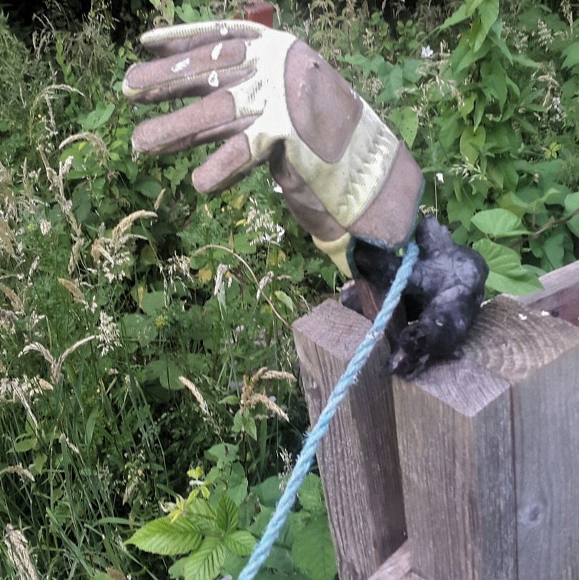 2017-08-18 02.37.55.jpg