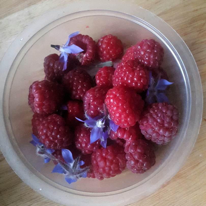 2017-08-18 02.46.11.jpg