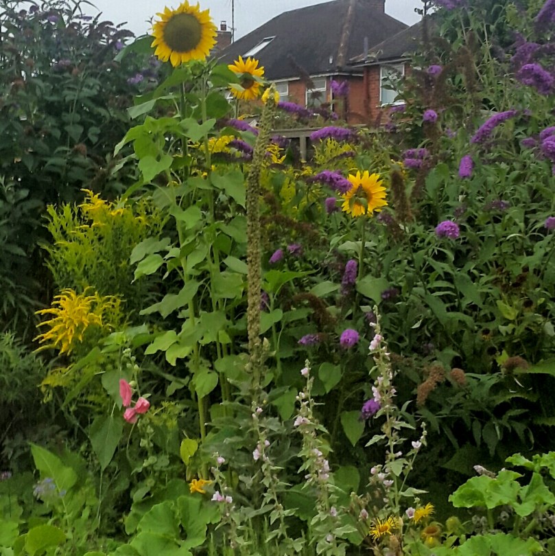 2017-08-18 03.02.54.jpg