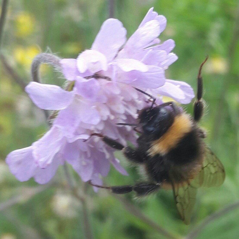 2017-08-21 01.55.18.jpg