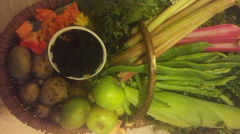 2017-08-24 00.14.39.jpg