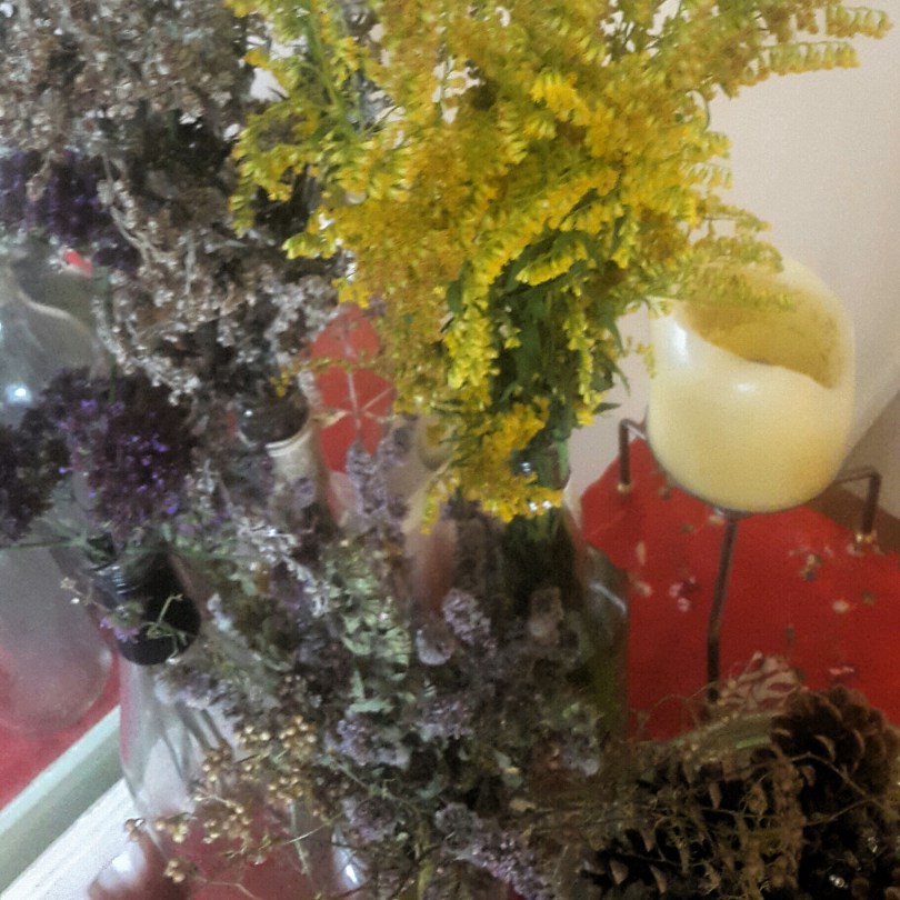 2017-08-24 16.20.13.jpg