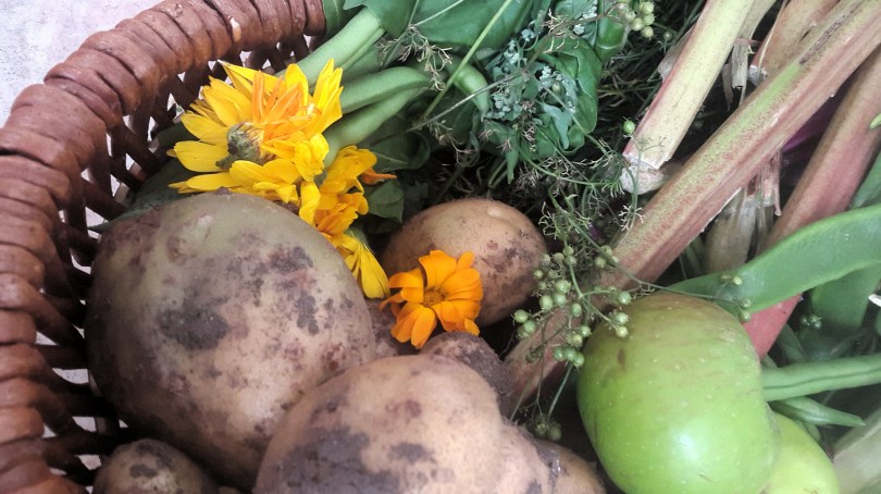 2017-08-25 01.13.49.jpg