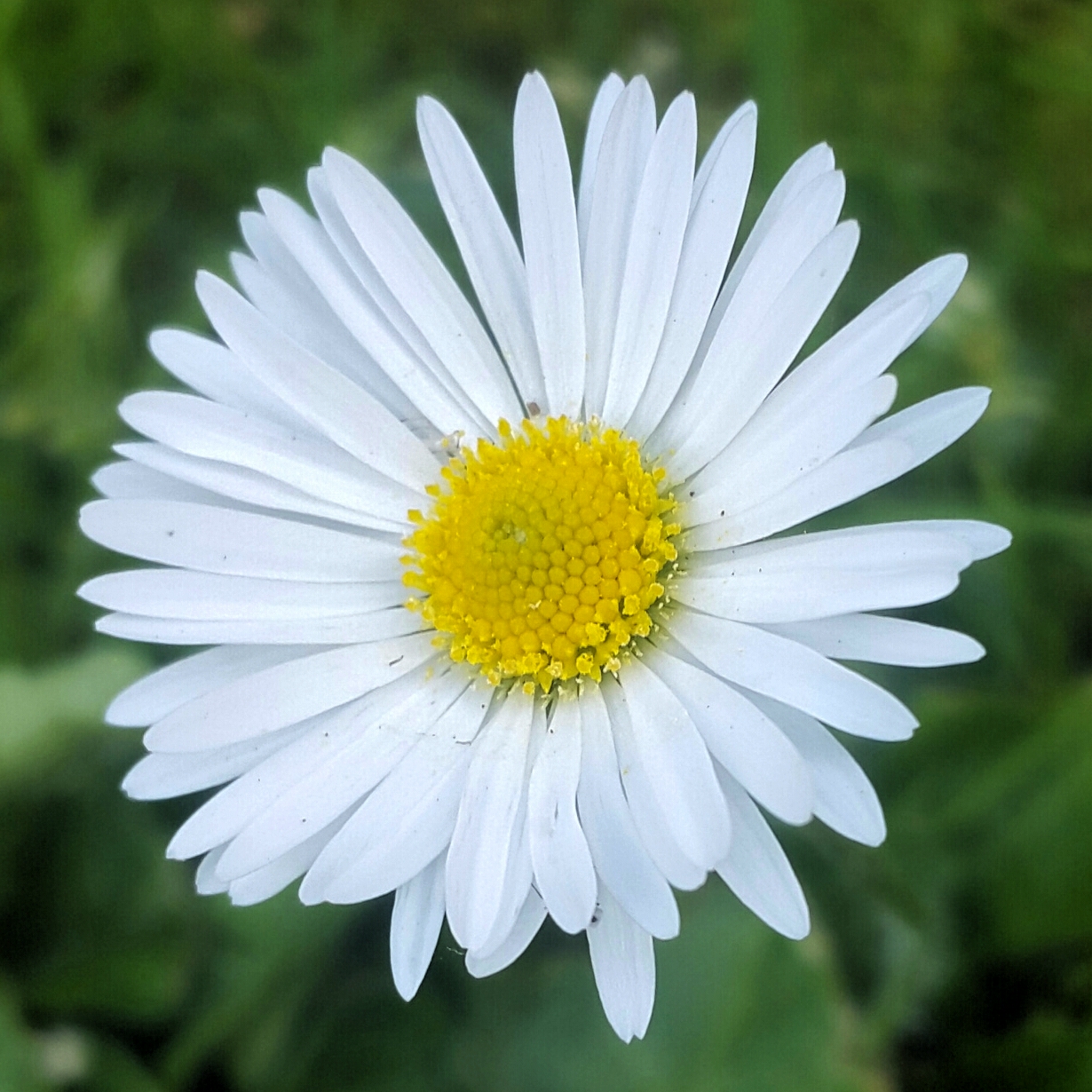 2017-08-26 16.36.19.jpg