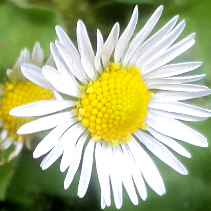 2017-08-26 16.48.12.jpg