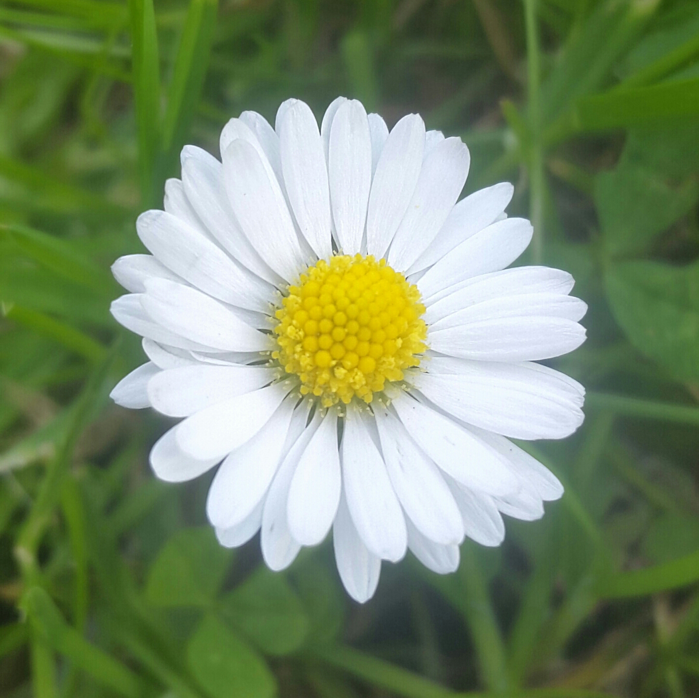 2017-08-26 16.57.13.jpg