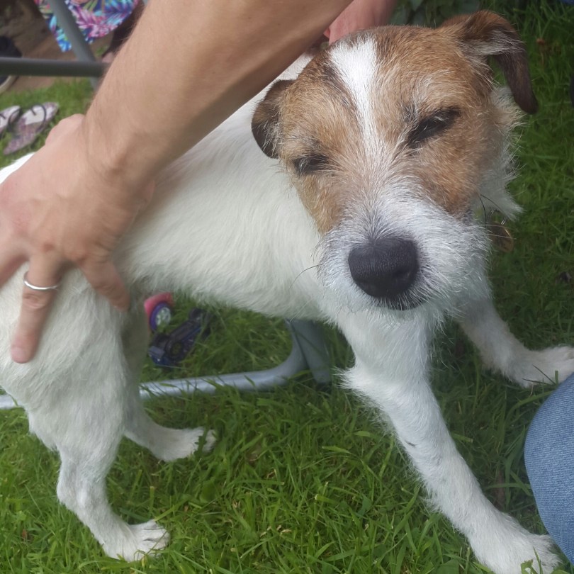 2017-08-26 22.38.59.jpg