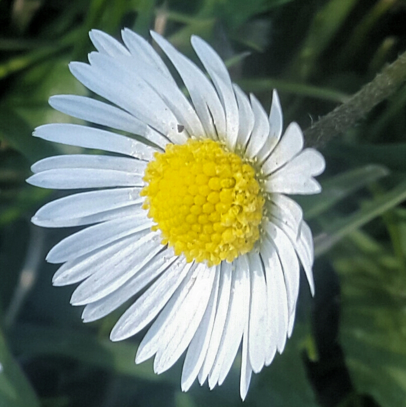 2017-08-27 07.40.51.jpg