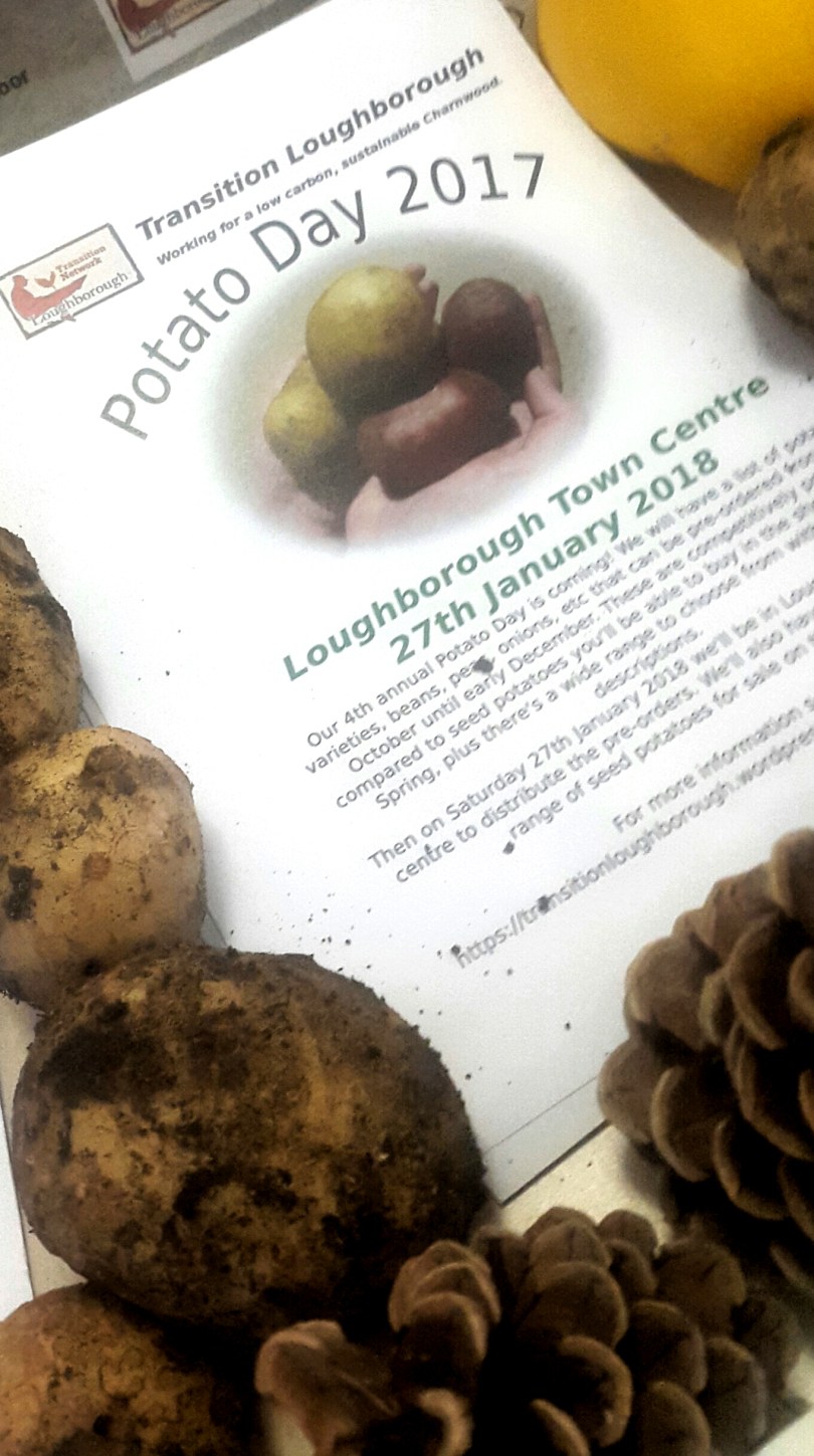 2017-08-31 20.44.37.jpg