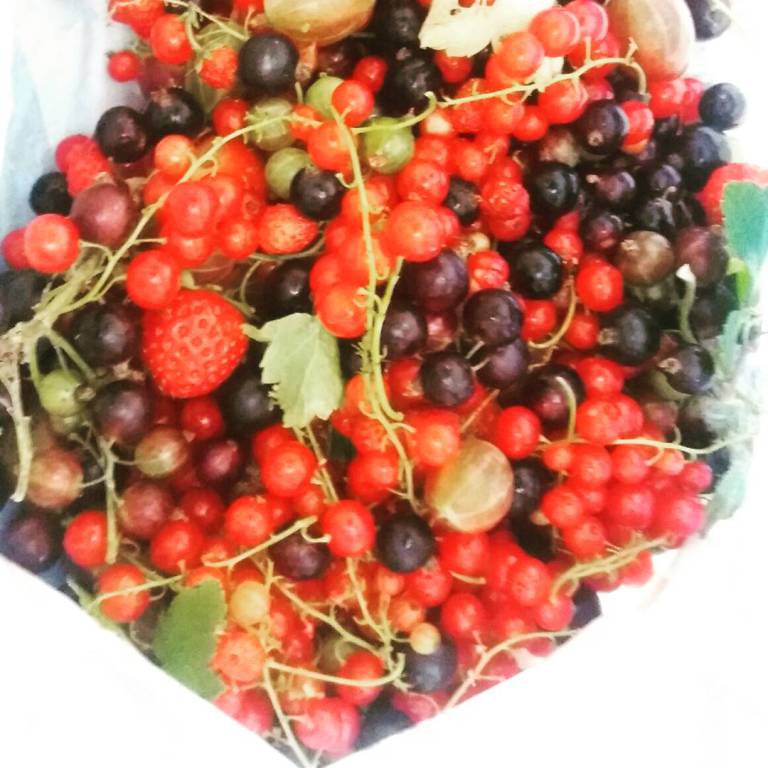 img_20170622_004417_640