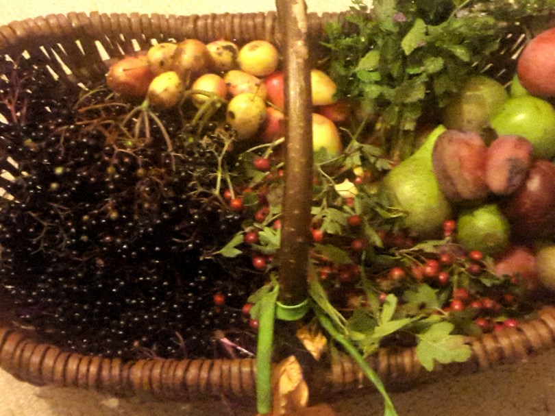 2017-08-09 22.35.54[1]