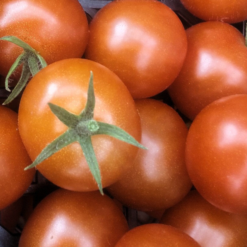 2017-08-15 02.12.05.jpg