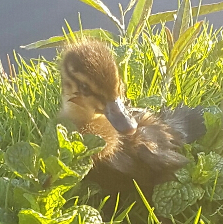 2017-08-28 23.52.06.jpg