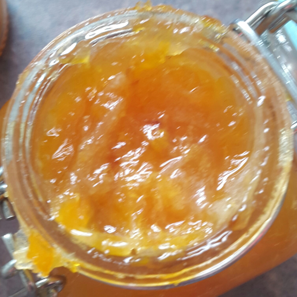 marmalade
